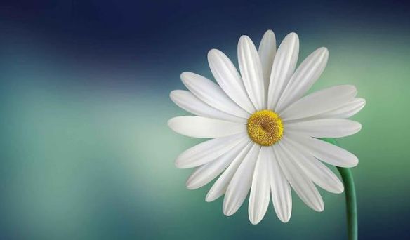 應(yīng)納稅所得額不超過100萬元的小型微利企業(yè)，實(shí)際稅率為1.5%