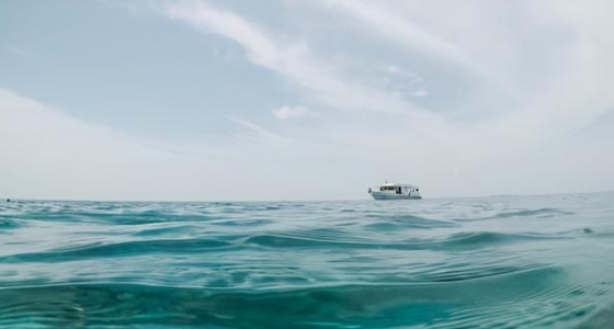 掛靠經(jīng)營要不要繳納增值稅和企業(yè)所得稅