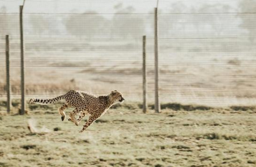 多地稅務(wù)稽查部門對(duì)超期稅款不予追征  中匯信達(dá)