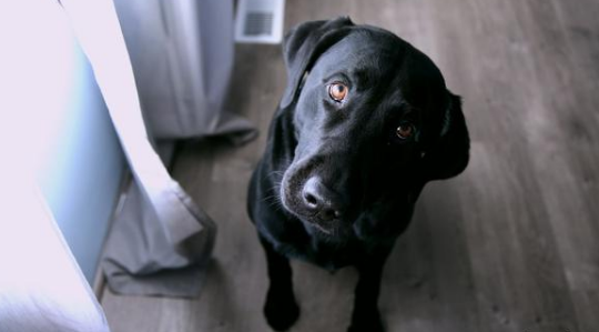 房地產(chǎn)開發(fā)企業(yè)稅收收入和成本確認(rèn)存在的問題