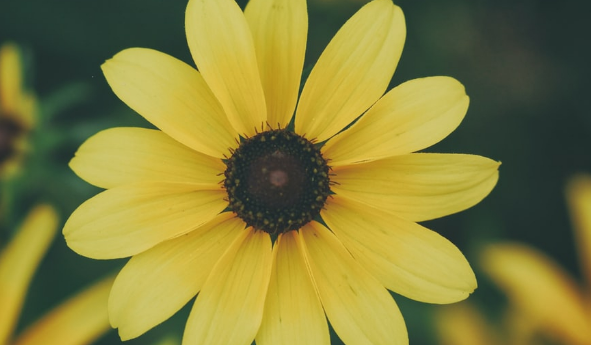 全國31個(gè)省市契稅稅率和減免稅政策全梳理