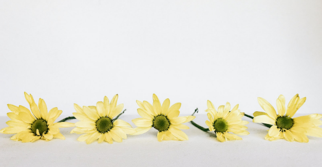 五個(gè)與個(gè)人轉(zhuǎn)讓股權(quán)相關(guān)的涉稅問題