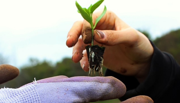 符合以下情形的無(wú)償轉(zhuǎn)讓股權(quán)，可不征收個(gè)人所得稅
