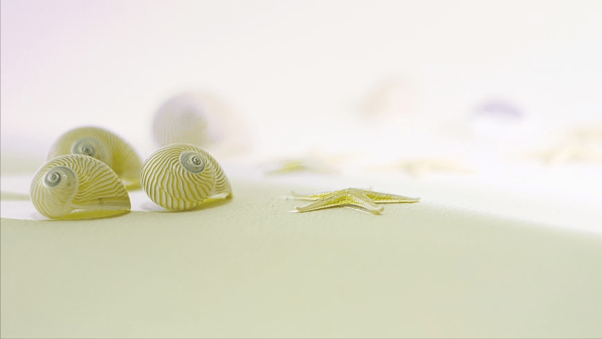 自然人股東分紅20%個(gè)稅？區(qū)分三種情況！