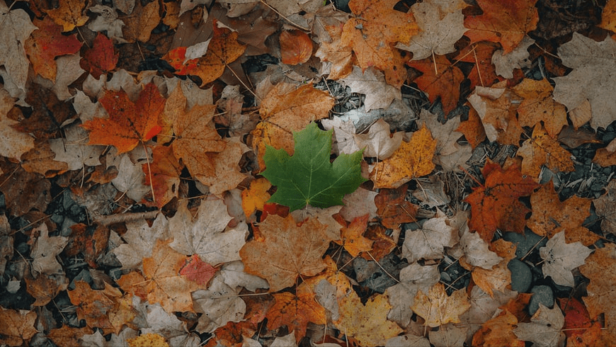 合并企業(yè)持有被合并企業(yè)部分股權(quán)，交易支付總額的確定，可以特殊性稅務(wù)處理嗎