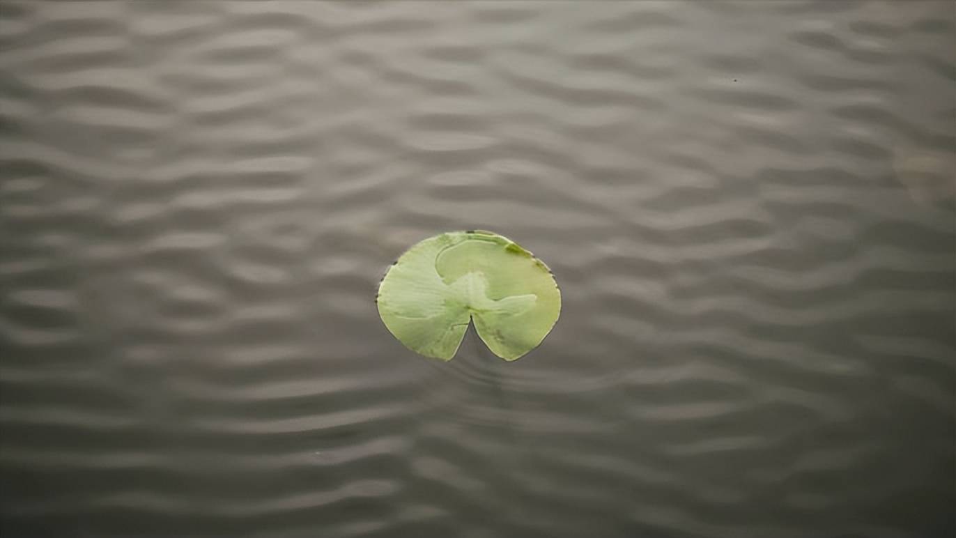 新準(zhǔn)則下應(yīng)收賬款壞賬準(zhǔn)備計(jì)提