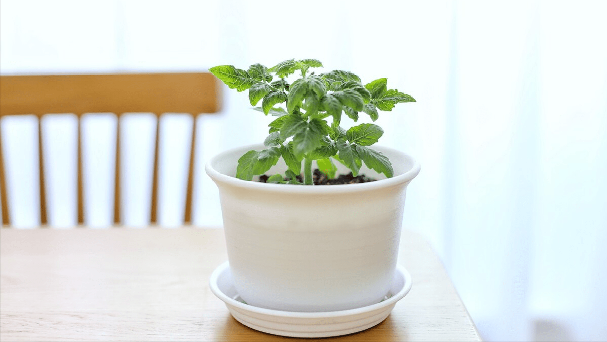 個(gè)人直接持股公司的五個(gè)風(fēng)險(xiǎn)