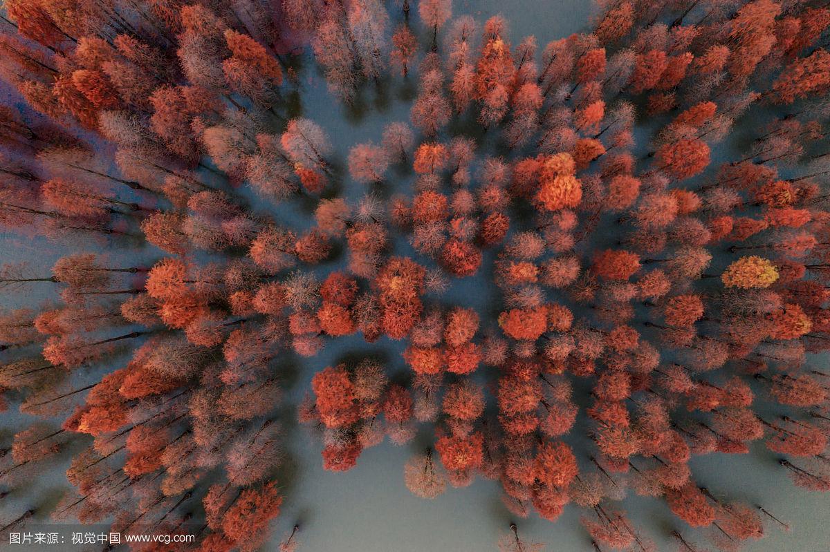 基本建設(shè)項(xiàng)目：收到政府投資補(bǔ)助，按階段進(jìn)行財(cái)稅處理