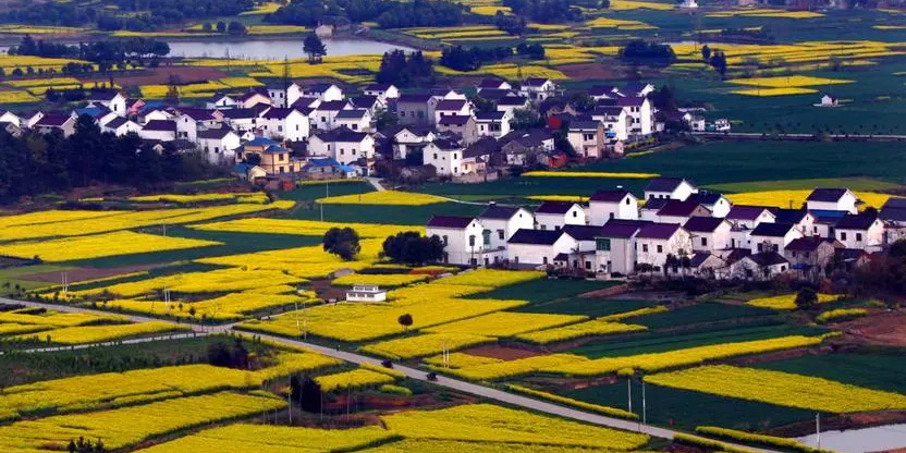 南京高淳注冊（辦理）公司營業(yè)執(zhí)照準(zhǔn)備哪些資料？