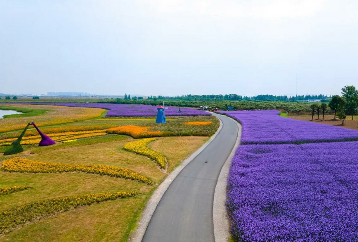 南京高淳區(qū)公司注冊補貼攻略：申請條件、材料及流程全解析
